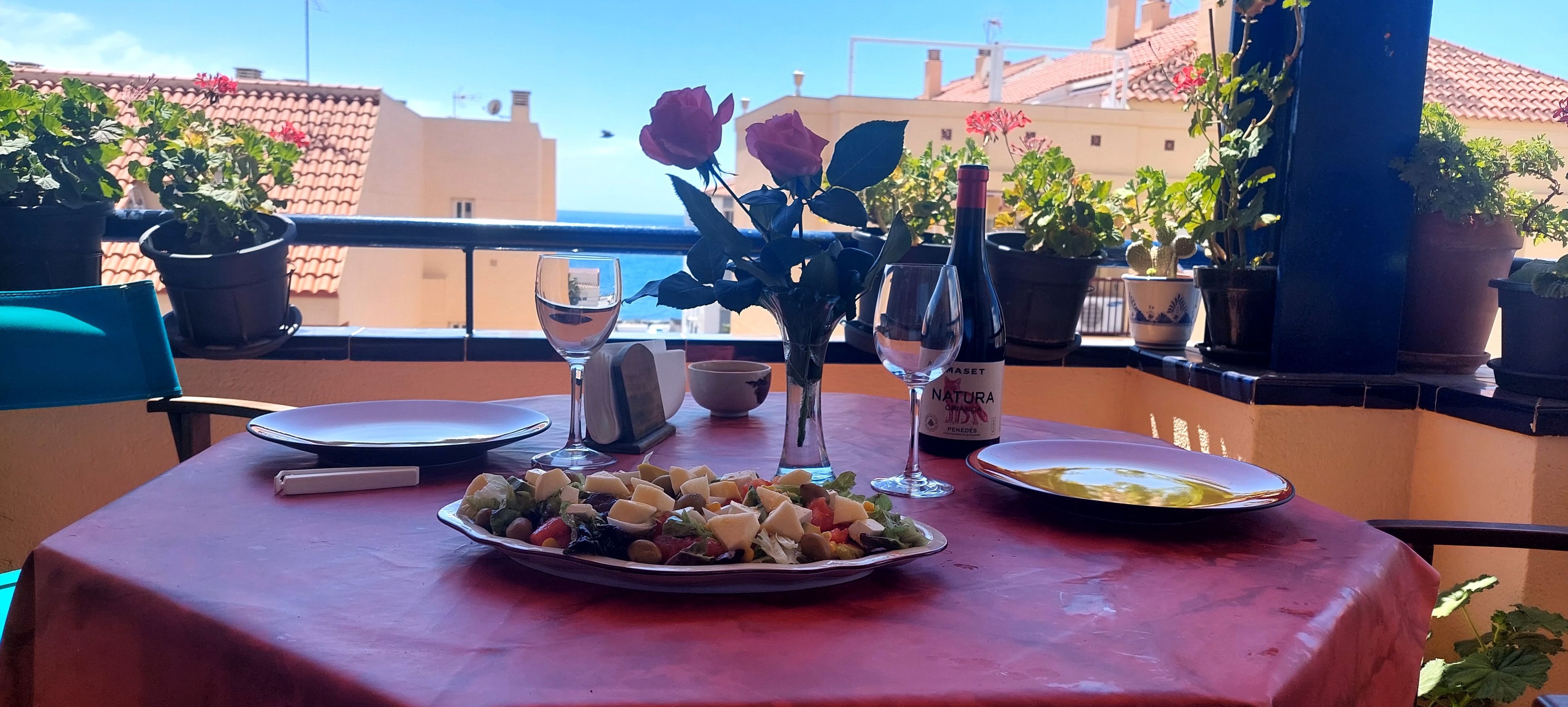 Una mesa servida con ensalada, copas de vino y una botella de vino, adornada con plantas en macetas y vistas de edificios al fondo.