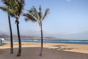A beach with palm trees and a clear view of the ocean.