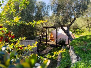 Overnattingsstedets uteområder