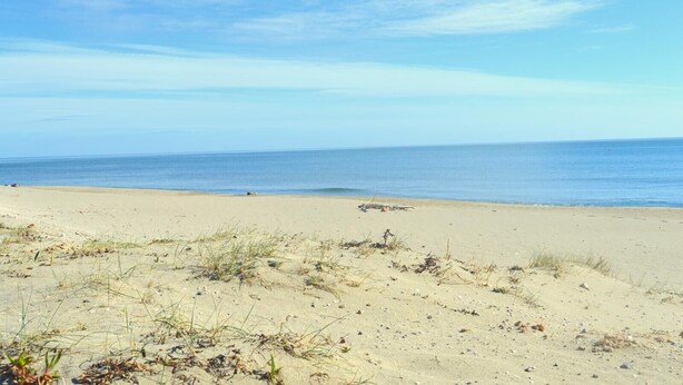 A sandy beach with sparse vegetation and a clear view of the ocean. - Mais 3 pièces 6 couchages PORT LEUCATE NATURISME (PORT LEUCATE NATURISME)