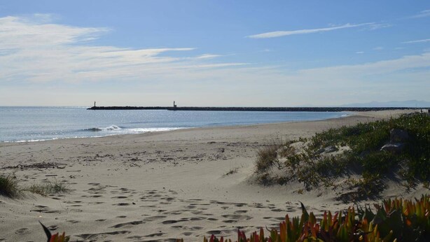 Ein Strand mit einem Leuchtturm in der Ferne, sandigem Ufer und vereinzelter Vegetation.