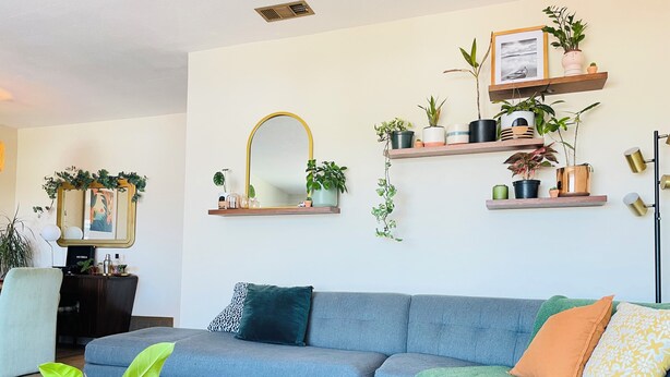 Una sala de estar moderna con un sofá gris, una mesa de centro de madera y varias macetas con plantas en estanterías y en el suelo.