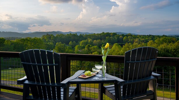 Um terraço com duas cadeiras Adirondack, uma mesa com um copo de água, um vaso com uma flor amarela e um prato de uvas.