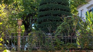 Ein Garten mit schmiedeeisernem Zaun, einer Steinmauer und verschiedenen Pflanzen und Bäumen.