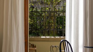 Blick durch ein Fenster mit Metallzaun und Grünpflanzen davor.