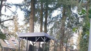 Uma estrutura tipo gazebo numa área arborizada com uma cerca de metal em primeiro plano.