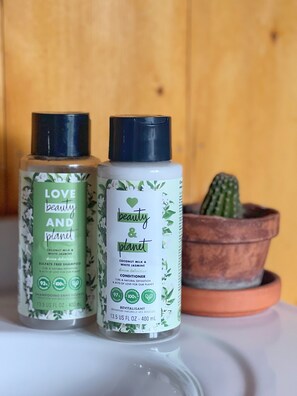 Eco-friendly toiletries, hair dryer, towels, soap