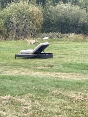 Parco della struttura