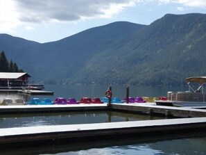 Property grounds - 3 BR/1Bath Riverfront, Canoes, Kayaks, wood., 3 bedroom riverfront w/ canoes incl. (Grand Lake)