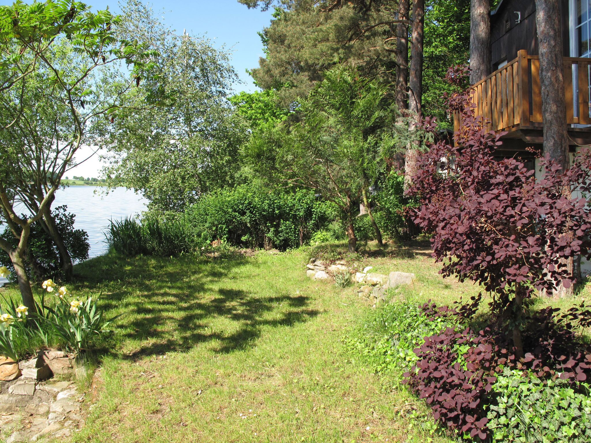 Un jardín tranquilo junto al lago con una terraza de madera que da al agua, rodeado de exuberante vegetación y plantas en flor.