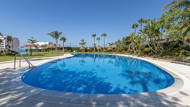 A large, clear swimming pool with a curved edge, surrounded by palm trees and a well-maintained lawn. - Marvelous views, pools, steps to the beach! REF024 (Benalmádena)