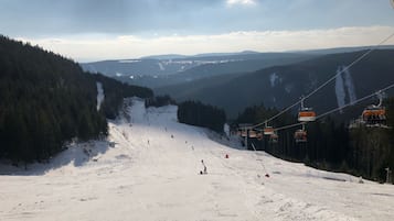 Sne- og skisport
