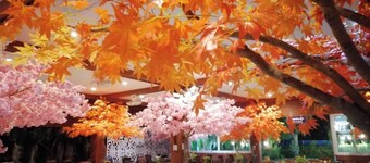 Srisiam Resort