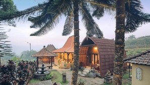 A traditional wooden house with a tiled roof, surrounded by palm trees and a well-maintained garden.