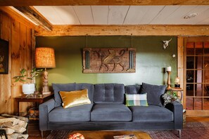 Smart TV, fireplace, books, music library