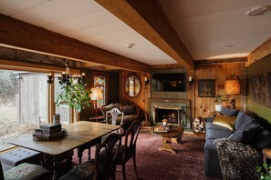 Smart TV, fireplace, books, music library