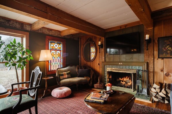 Smart TV, fireplace, books, music library