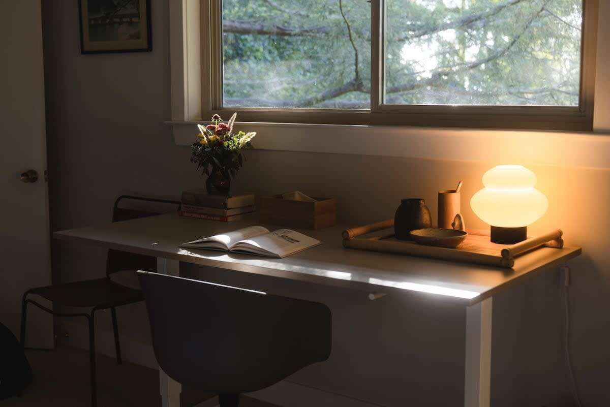 A study area with a desk, chair, books, a plant, and a lamp.