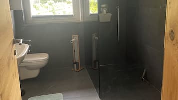 Shower, hair dryer, bidet, towels