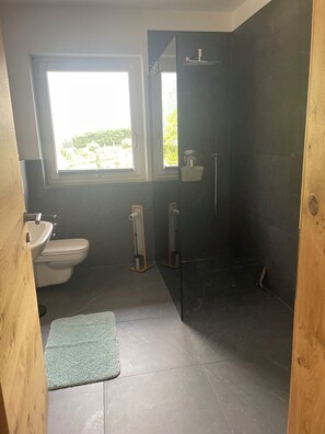 Shower, hair dryer, bidet, towels