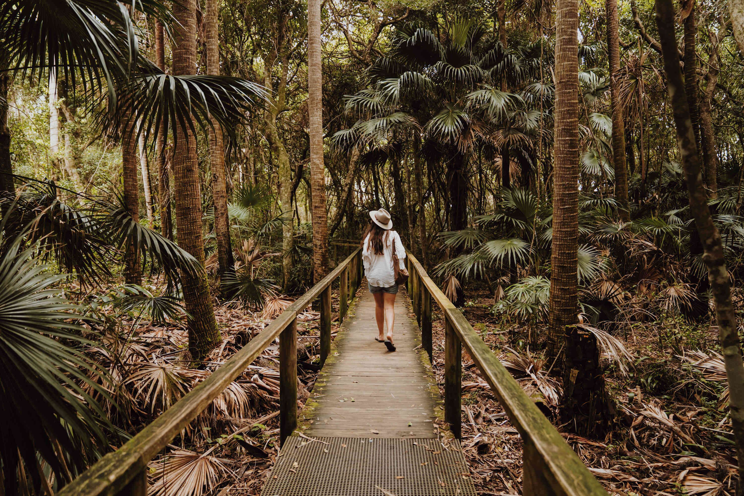 A wooden boardwalk in a dense forest with a person walking away from the viewpoint.