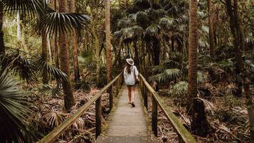 A wooden boardwalk in a dense forest with a person walking away from the viewpoint.