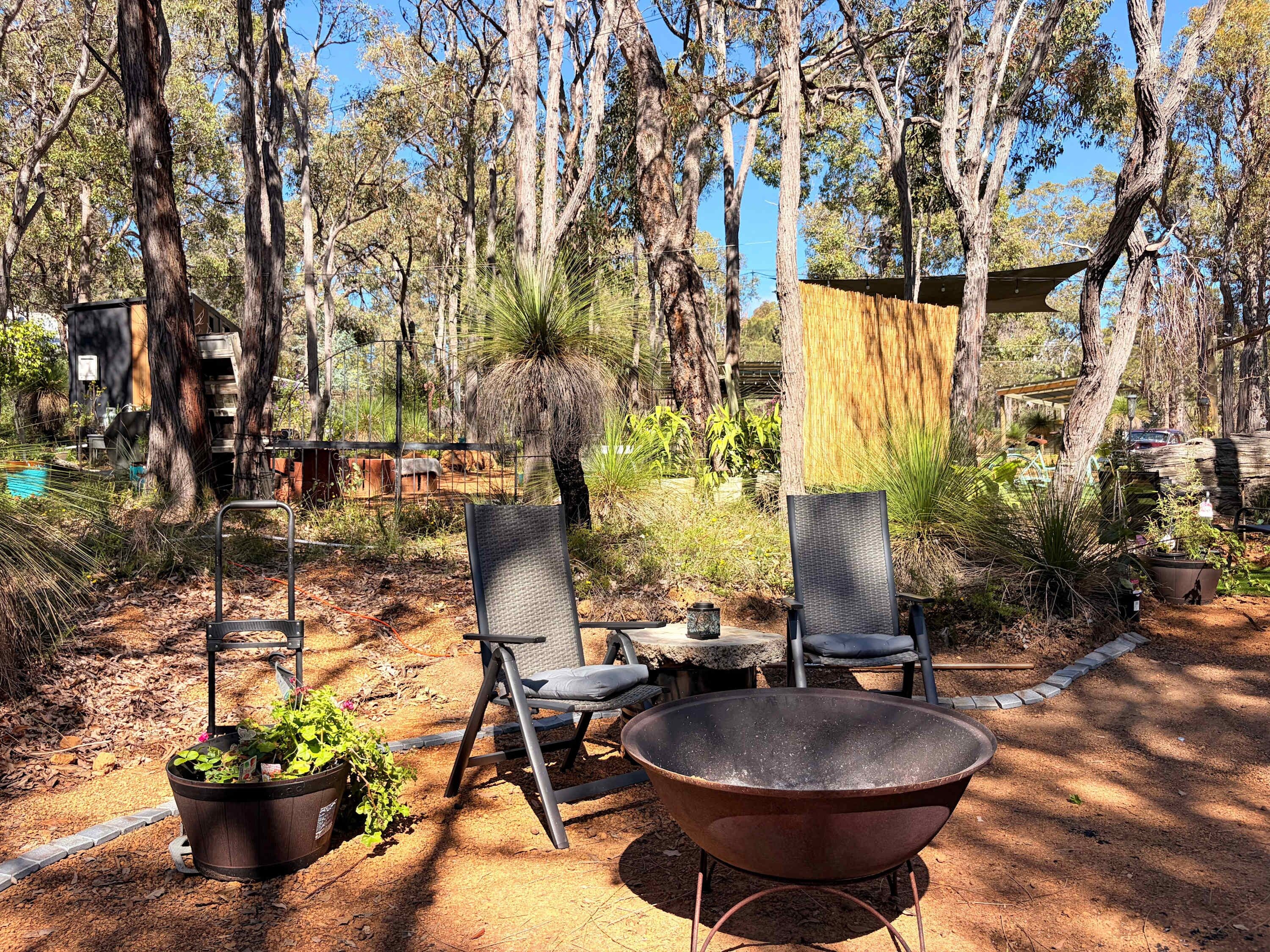 An outdoor seating area with chairs and a table, surrounded by trees and potted plants.