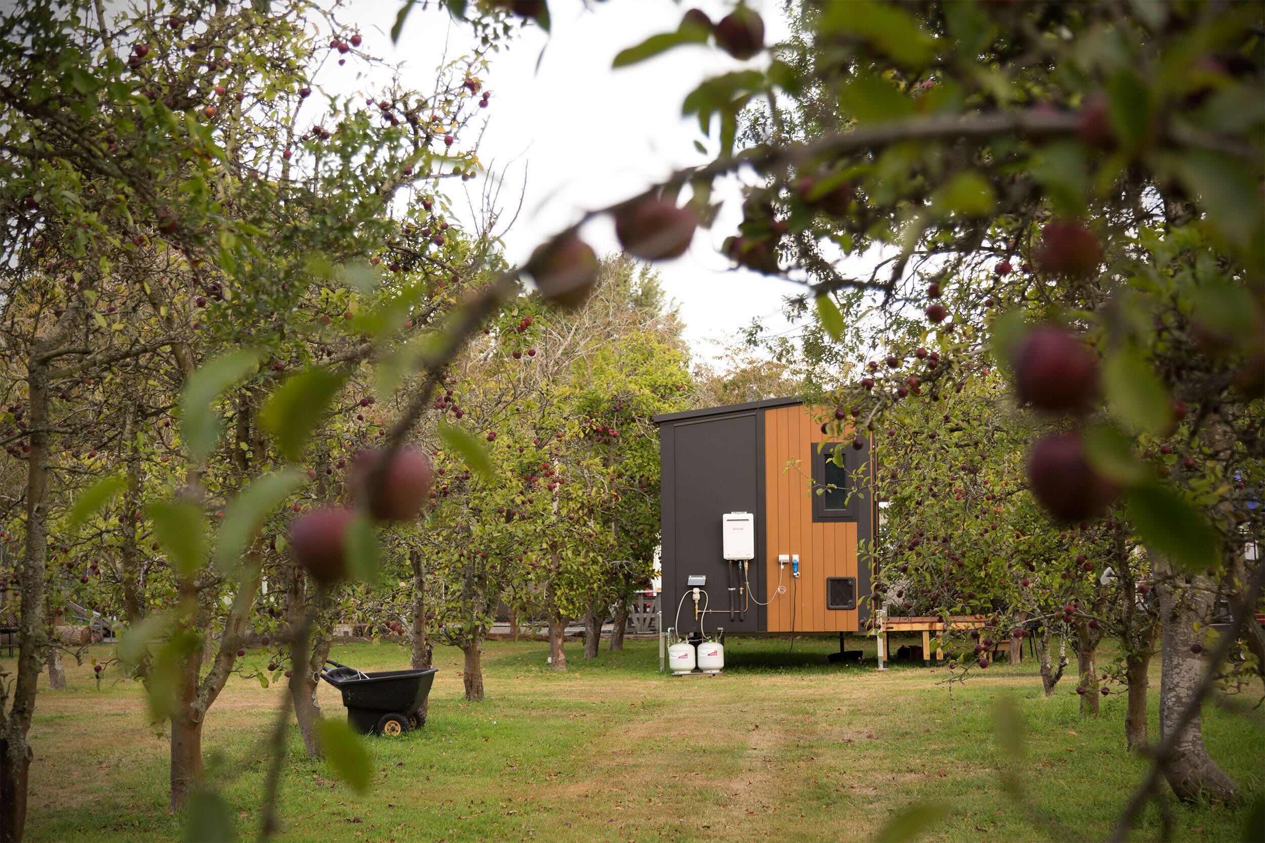 Áreas de la propiedad