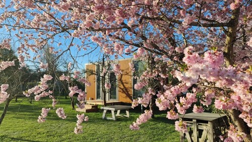 Applewood Cabin 2 by Tiny Away