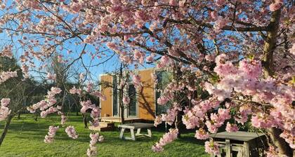 Applewood Cabin 2 by Tiny Away