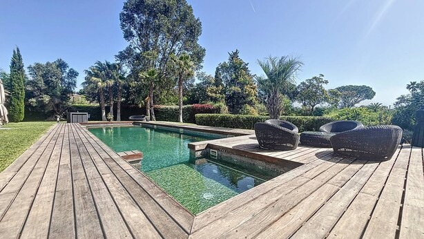 Une terrasse en bois avec une piscine, entourée d’une végétation luxuriante et d’arbres.