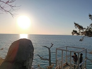 Unclassified image, 3 of 44, button