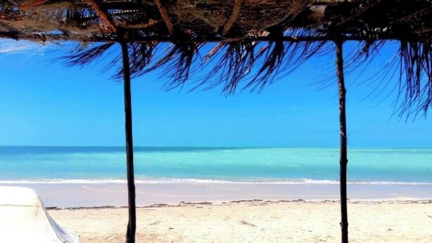 A beach with a clear blue sky, a sandy shore, and a thatched roof structure.