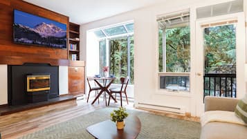 TV connectée, cheminée, livres, vidéothèque