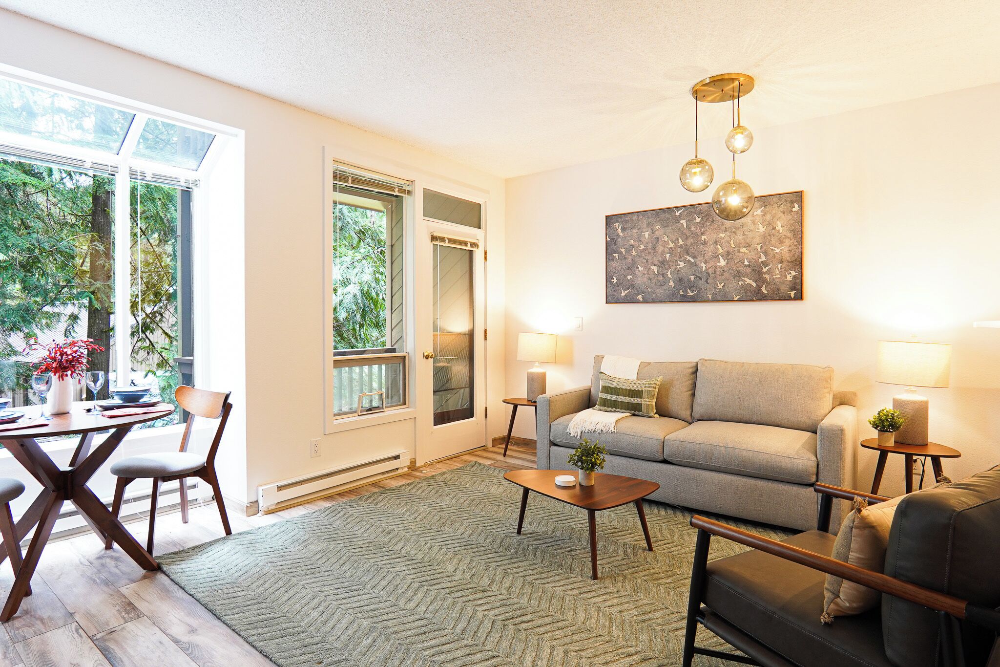 TV connectée, cheminée, livres, vidéothèque