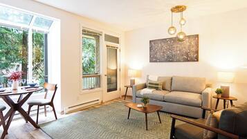 TV connectée, cheminée, livres, vidéothèque