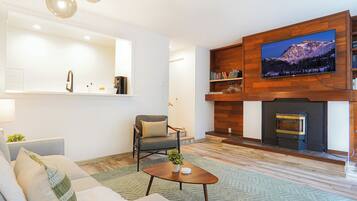 Smart TV, fireplace, books, video library