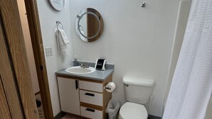 Un bagno moderno con un mobile lavabo, un water e una tenda da doccia.