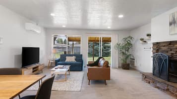Smart TV, fireplace, books