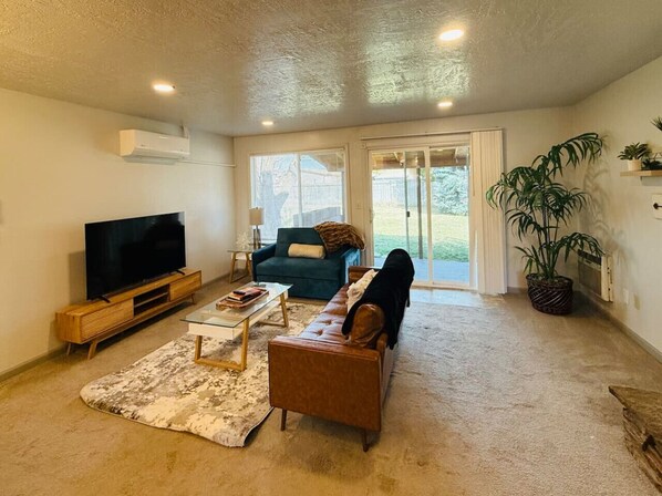 Smart TV, fireplace, books