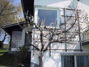 Exterior detail - Country house with stunning views near lakes (Ludmannsdorf)
