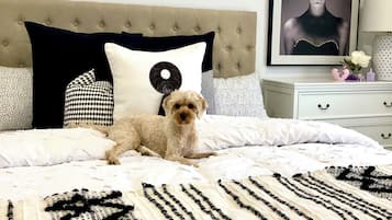 5 quartos, ferros/tábuas de passar roupa, Wi-Fi de cortesia