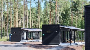 A row of modern cabins with large windows, surrounded by tall pine trees. - Pistohiekka Resort (Puumala)