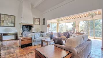 TV connectée, cheminée, livres, imprimantes