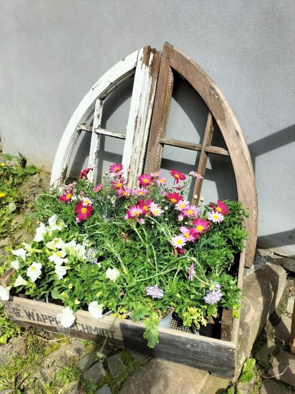 Una jardinera de madera con un marco de ventana reciclado que contiene una variedad de flores.