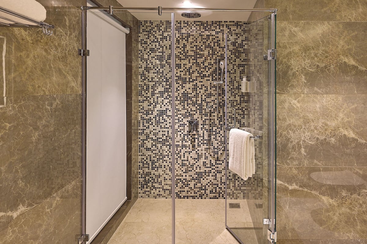 Shower, rainfall showerhead, free toiletries, hair dryer