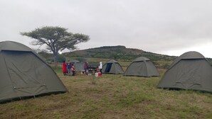 Een camping met meerdere tenten op een rij.