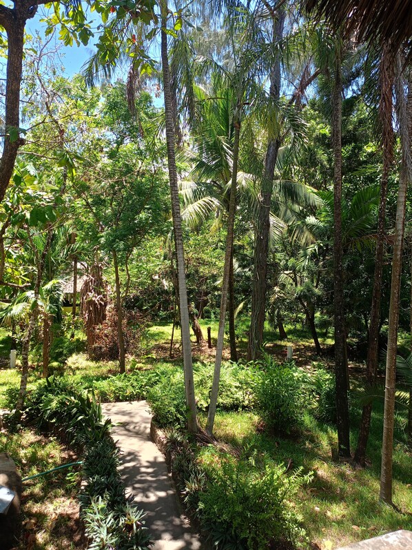 Property grounds - Relax in Paradise: Diani Peaceful Garden, Your Peaceful Beach Getaway (Kwale County)