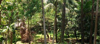Relax in Paradise: Diani Peaceful Garden, Your Peaceful Beach Getaway