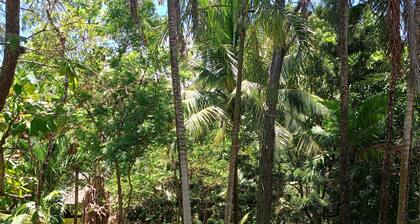 Relax in Paradise: Diani Peaceful Garden, Your Peaceful Beach Getaway